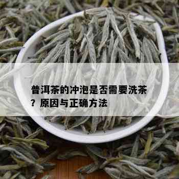 普洱茶的冲泡是否需要洗茶？原因与正确方法