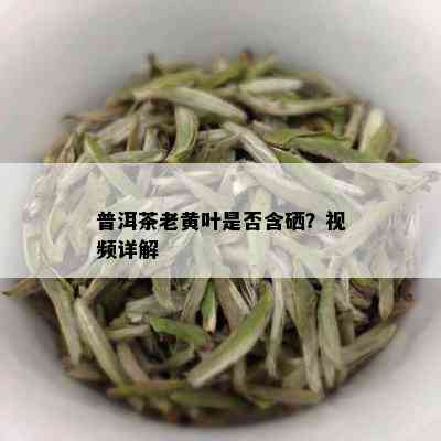 普洱茶老黄叶是否含硒？视频详解