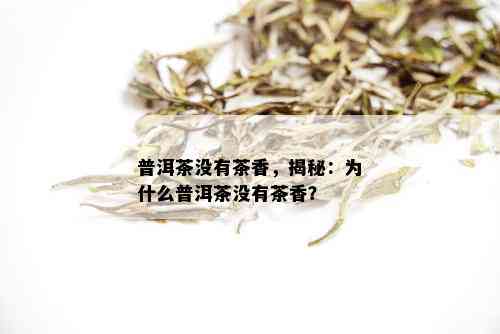 普洱茶没有茶香，揭秘：为什么普洱茶没有茶香？