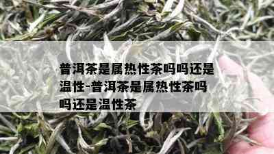 普洱茶是属热性茶吗吗还是温性-普洱茶是属热性茶吗吗还是温性茶