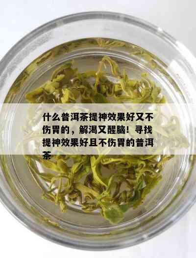 什么普洱茶提神效果好又不伤胃的，解渴又醒脑！寻找提神效果好且不伤胃的普洱茶