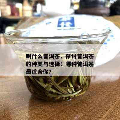 喝什么普洱茶，探讨普洱茶的种类与选择：哪种普洱茶最适合你？