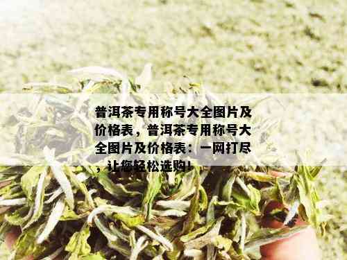 普洱茶专用称号大全图片及价格表，普洱茶专用称号大全图片及价格表：一网打尽，让您轻松选购！