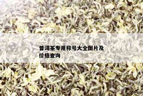 普洱茶专用称号大全图片及价格查询