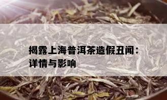 揭露上海普洱茶造假丑闻：详情与影响