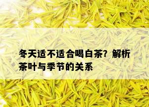 冬天适不适合喝白茶？解析茶叶与季节的关系