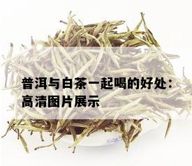 普洱与白茶一起喝的好处：高清图片展示