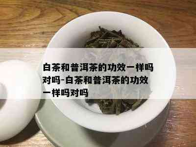 白茶和普洱茶的功效一样吗对吗-白茶和普洱茶的功效一样吗对吗