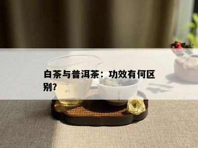 白茶与普洱茶：功效有何区别？