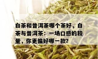 白茶和普洱茶哪个茶好，白茶与普洱茶：一场口感的较量，你更偏好哪一款？