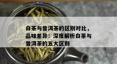 白茶与普洱茶的区别对比，品味差异：深度解析白茶与普洱茶的五大区别