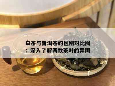 白茶与普洱茶的区别对比图：深入了解两款茶叶的异同