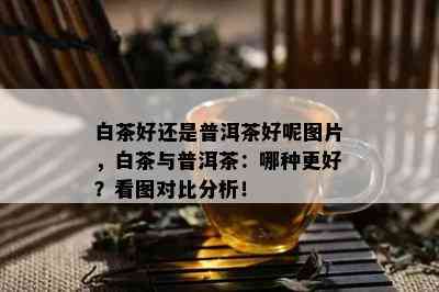 白茶好还是普洱茶好呢图片，白茶与普洱茶：哪种更好？看图对比分析！