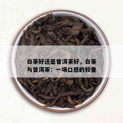 白茶好还是普洱茶好，白茶与普洱茶：一场口感的较量