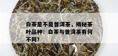 白茶是不是普洱茶，揭秘茶叶品种：白茶与普洱茶有何不同？