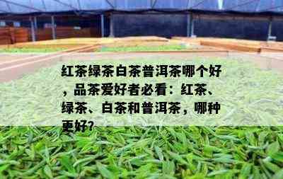 红茶绿茶白茶普洱茶哪个好，品茶爱好者必看：红茶、绿茶、白茶和普洱茶，哪种更好？