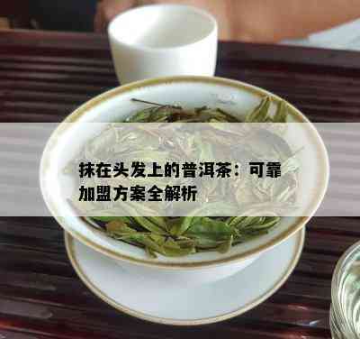 抹在头发上的普洱茶：可靠加盟方案全解析