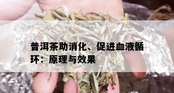 普洱茶助消化、促进血液循环：原理与效果