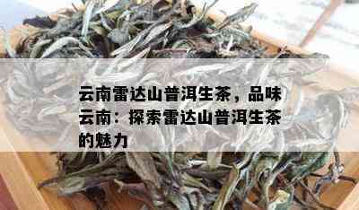 云南雷达山普洱生茶，品味云南：探索雷达山普洱生茶的魅力