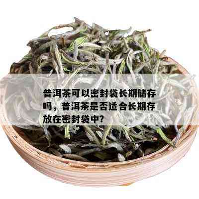 普洱茶可以密封袋长期储存吗，普洱茶是否适合长期存放在密封袋中？