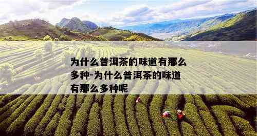 为什么普洱茶的味道有那么多种-为什么普洱茶的味道有那么多种呢