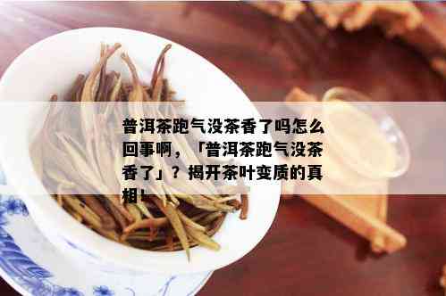 普洱茶跑气没茶香了吗怎么回事啊，「普洱茶跑气没茶香了」？揭开茶叶变质的真相！