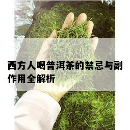 西方人喝普洱茶的禁忌与副作用全解析