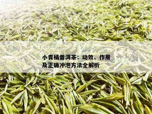 小青橘普洱茶：动效、作用及正确冲泡方法全解析