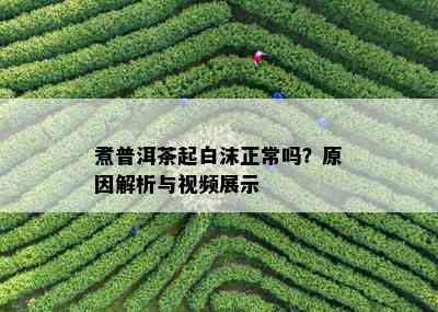 煮普洱茶起白沫正常吗？原因解析与视频展示