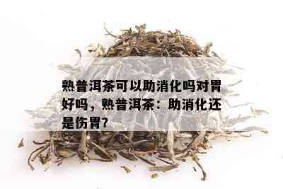 熟普洱茶可以助消化吗对胃好吗，熟普洱茶：助消化还是伤胃？