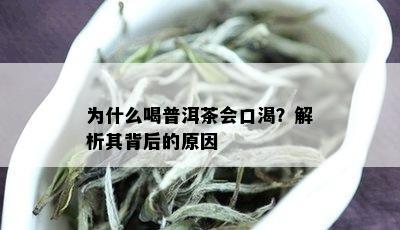 为什么喝普洱茶会口渴？解析其背后的原因