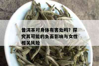 普洱茶对身体有害处吗？探究其可能的负面影响与女性相关风险