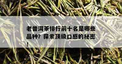 老普洱茶排行前十名是哪些品种？探索顶级口感的秘密！