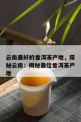 云南更好的普洱茶产地，探秘云南：揭秘更佳普洱茶产地