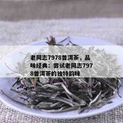 老同志7978普洱茶，品味经典：尝试老同志7978普洱茶的独特韵味