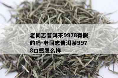 老同志普洱茶9978有假的吗-老同志普洱茶9978口感怎么样