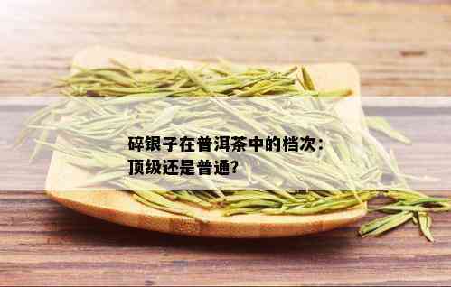 碎银子在普洱茶中的档次：顶级还是普通？