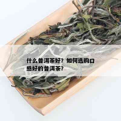 什么普洱茶好？如何选购口感好的普洱茶？