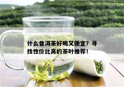 什么普洱茶好喝又便宜？寻找性价比高的茶叶推荐！