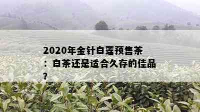 2020年金针白莲预售茶：白茶还是适合久存的佳品？