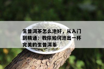 生普洱茶怎么泡好，从入门到精通：教你如何泡出一杯完美的生普洱茶