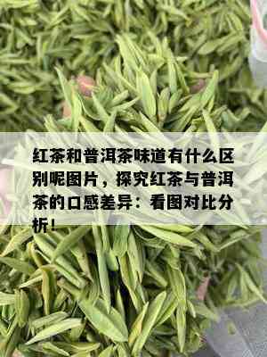 红茶和普洱茶味道有什么区别呢图片，探究红茶与普洱茶的口感差异：看图对比分析！