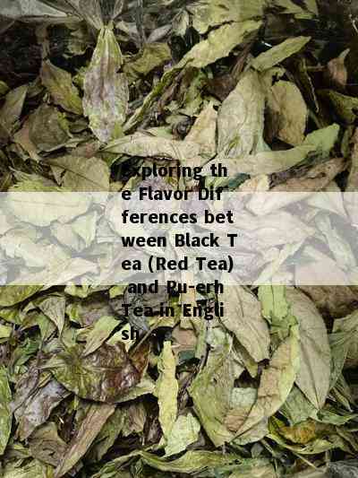 Exploring the Flavor Differences between Black Tea (Red Tea) and Pu-erh Tea in English