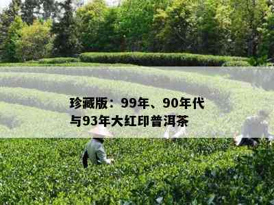 珍藏版：99年、90年代与93年大红印普洱茶