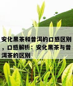 安化黑茶和普洱的口感区别，口感解析：安化黑茶与普洱茶的区别