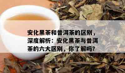 安化黑茶和普洱茶的区别，深度解析：安化黑茶与普洱茶的六大区别，你了解吗？