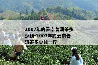 2007年的云南普洱茶多少钱-2007年的云南普洱茶多少钱一斤