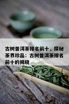 古树普洱茶排名前十，探秘茶界珍品：古树普洱茶排名前十的揭晓