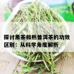 探讨黑茶和熟普洱茶的功效区别：从科学角度解析