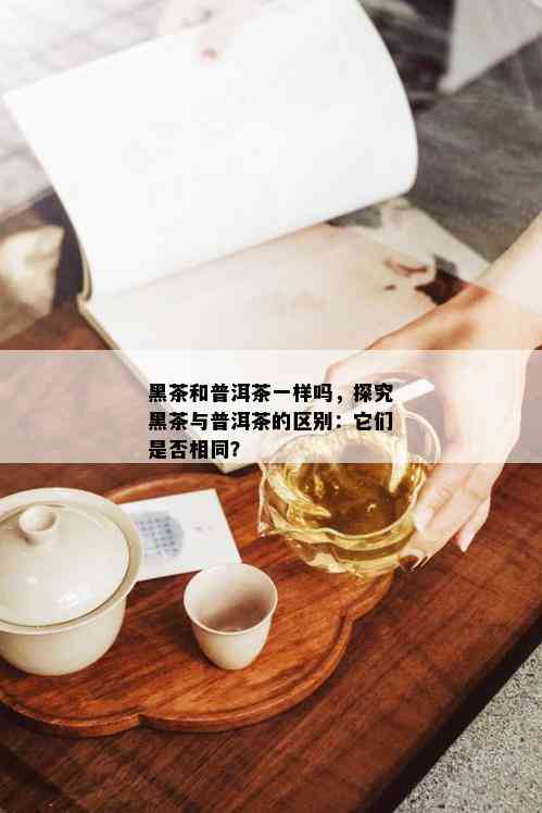 黑茶和普洱茶一样吗，探究黑茶与普洱茶的区别：它们是否相同？